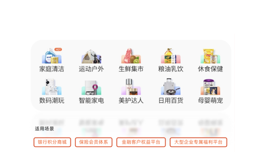 API标准对接展示