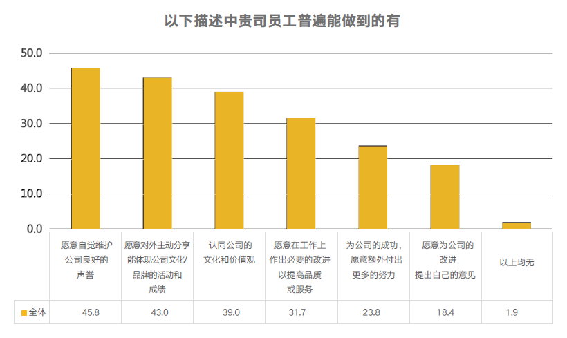 企业文化实施效果 企业文化实施效果