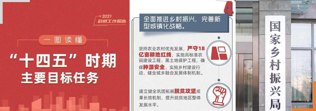 乡村振兴政策 乡村振兴政策