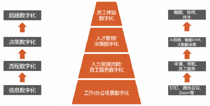 人力资源 人力资源