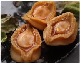 新年福利