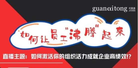 组织活力 组织活力