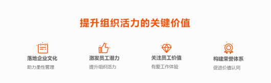 组织活力 组织活力